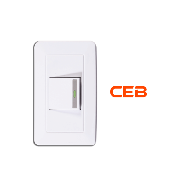 Interruptor sencillo Platino CEB